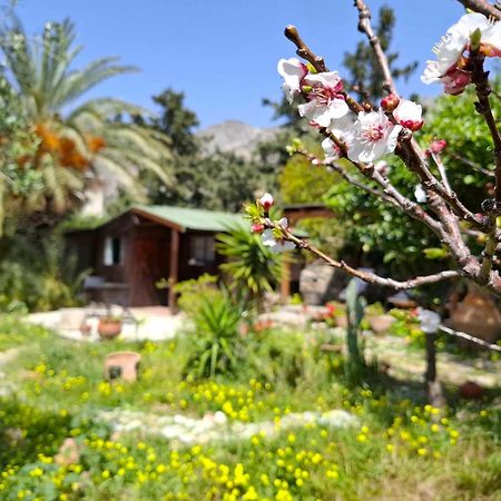 Levantes Garden House - Keratokampos Luaran gambar