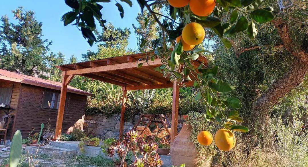 Levantes Garden House - Keratokampos Luaran gambar