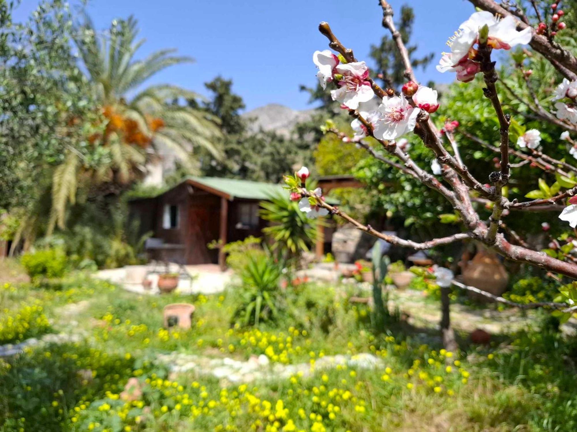 Levantes Garden House - Keratokampos Luaran gambar